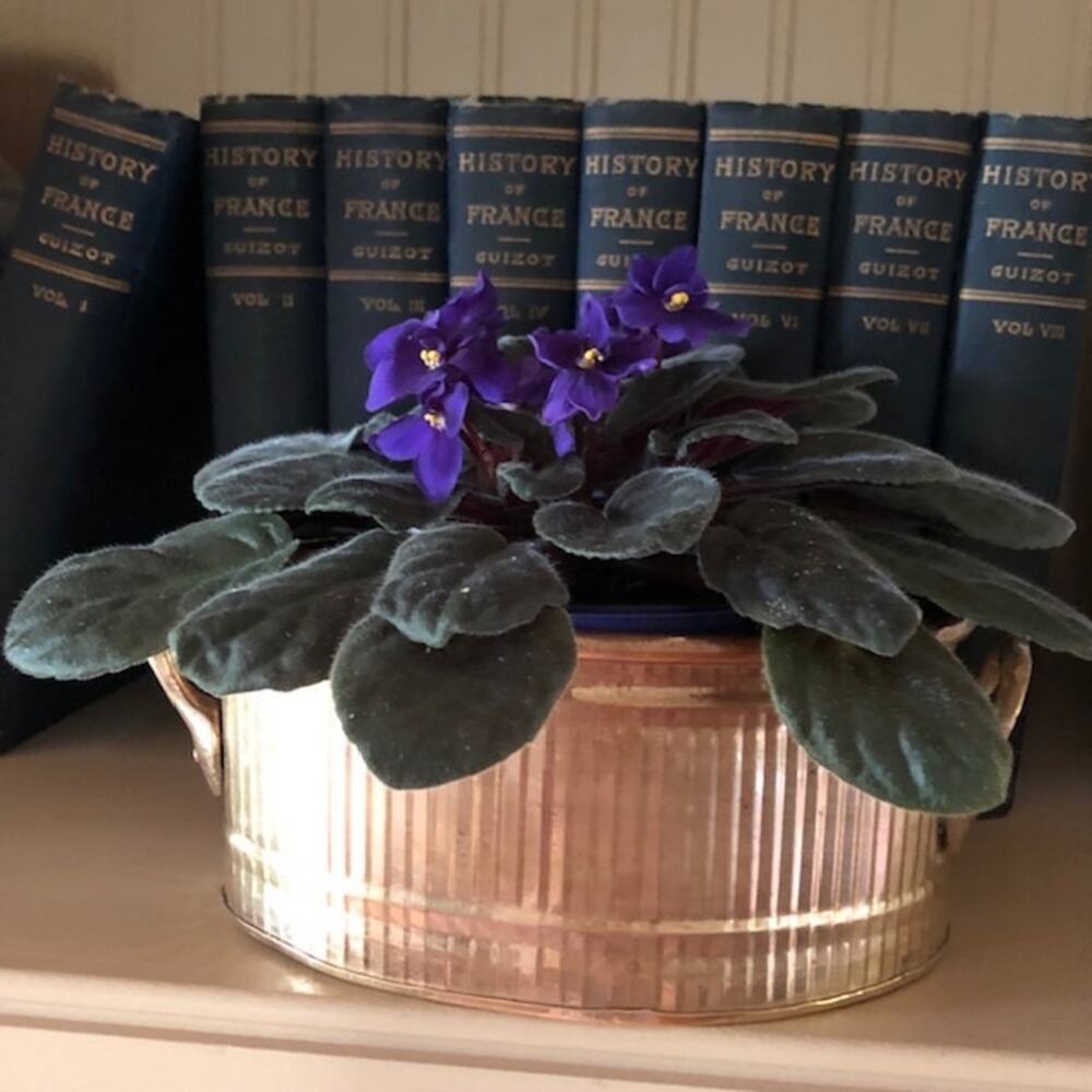 Vintage Boho Gold Brass Metal Oval Planter with Handles